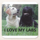 Suche nach labrador retriever untersetzer Welpe