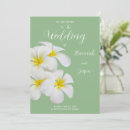 Suche nach frangipani hochzeit einladungen Tropische blume