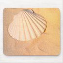 Recherche de coquilles tapis souris Photographie
