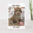 Recherche de tard anniversaire cartes Photographie