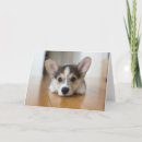 Recherche de puppy vœux cartes Corgi pembroke