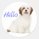 Suche nach lhasa apso aufkleber Hund