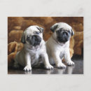 Suche nach zwei hunde poster Lustig