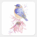 Recherche de bluebird autocollants Faune