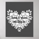 Suche nach kleiner weißer hund poster Hundebesitzer
