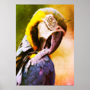Recherche de perroquets posters Bleu