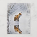 Suche nach wintersonnenwende karten Fuchs