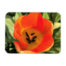 Suche nach nach innen magnete Blume