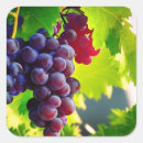 Suche nach traube aufkleber Gesund