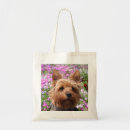 Suche nach yorkshire terrier taschen Hund