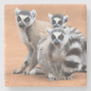 Suche nach madagaskar untersetzer Natur
