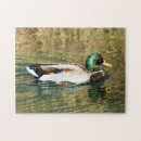 Recherche de ducks puzzles Canard