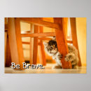 Suche nach miezekatzen poster Kätzchen
