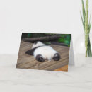 Suche nach niedlicher panda karten Riesenpanda