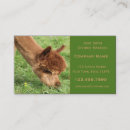 Recherche de alpaga cartes visite Animal