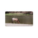 Recherche de horse labels Horses