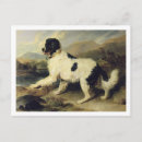 Suche nach 1824 Hunde