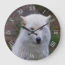 Recherche de wolfs horloges Grey wolf