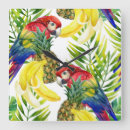 Recherche de parrots horloges Bird