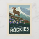 Suche nach rockies postkarten Kakteen