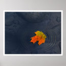 Suche nach wasser pflanze poster Blatt