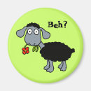 Suche nach schafe magnete Schwarzschaf