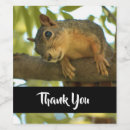 Suche nach eichhörnchen geschenke Niedlich