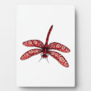 Recherche de libellules plaques Insecte
