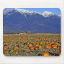 Suche nach orange kürbis mousepads Halloween