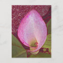 Recherche de cala cartes postales Jardin
