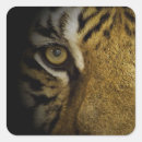 Suche nach tigers aufkleber Tierwelt