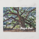 Recherche de angels cartes postales Arbre