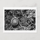 Recherche de arbre abstrait cartes postales Texture