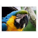 Suche nach parrots karten Wildlife