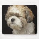Recherche de tzu shih tapis souris Animaux domestiques