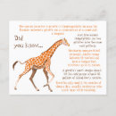 Suche nach wildlife postkarten Giraffe