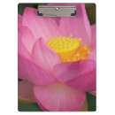 Suche nach lotus klemmbrett Rosa