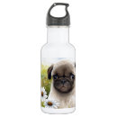 Recherche de dog gourdes Fleur