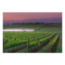 Recherche de brouillard posters Campagne