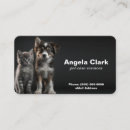 Recherche de chien marche cartes visite Chat