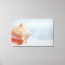 Suche nach florida strände leinwandbilder Nautisch