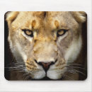 Suche nach könig mousepads Löwe