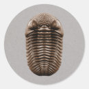 Recherche de fossil autocollants Science