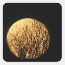 Recherche de arbre effrayant autocollants Pleine lune