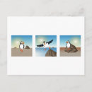 Recherche de macareux cartes postales Faune