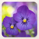 Suche nach viola untersetzer Blume