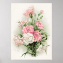 Recherche de oeillets posters Vintage