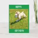 Suche nach cocker spaniel geburtstag karten Tierarzt