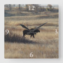 Recherche de colline photographie Photographie de la nature