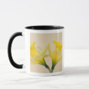 Recherche de jonquille jaune tasses Délicat